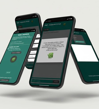 Mockup PROVICIONAL Full Wallet